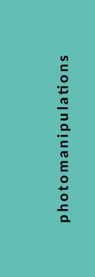 Photomanipulation Label